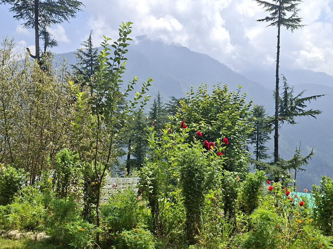 Ishan Log Huts - A Boutique Homestay主图