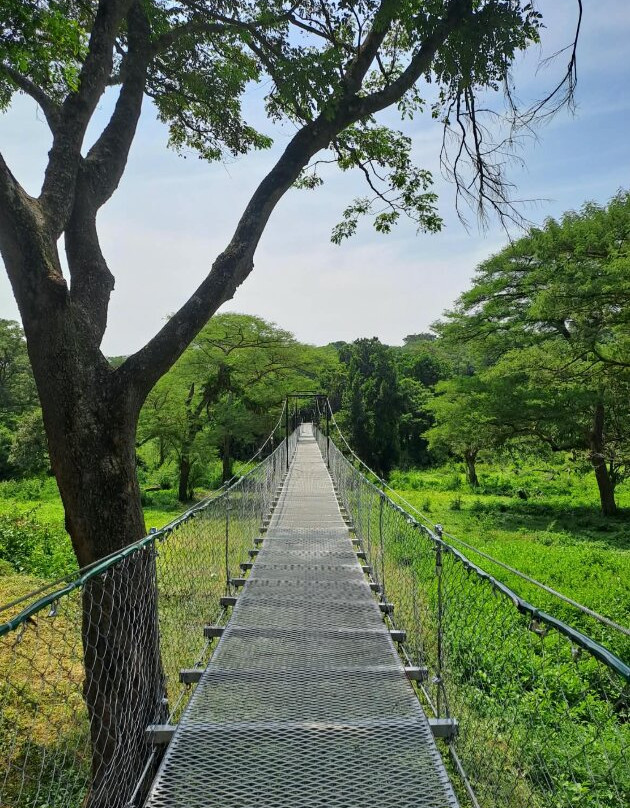桑比亚河旅馆主图