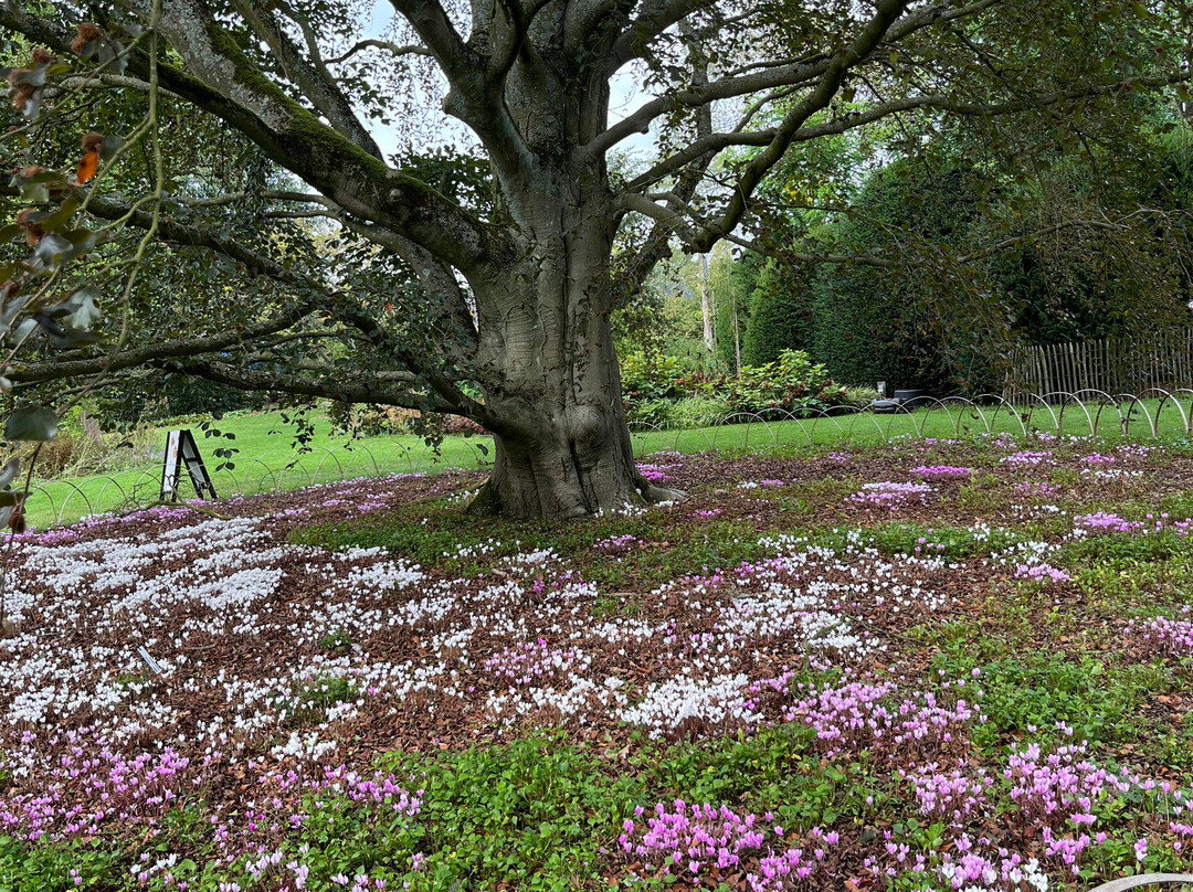 Arboretum Kalmthout-Kalmthout必去景点
