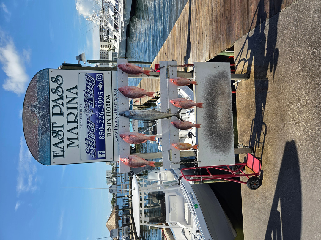 Silver King Charters of Destin-Sandestin必去景点
