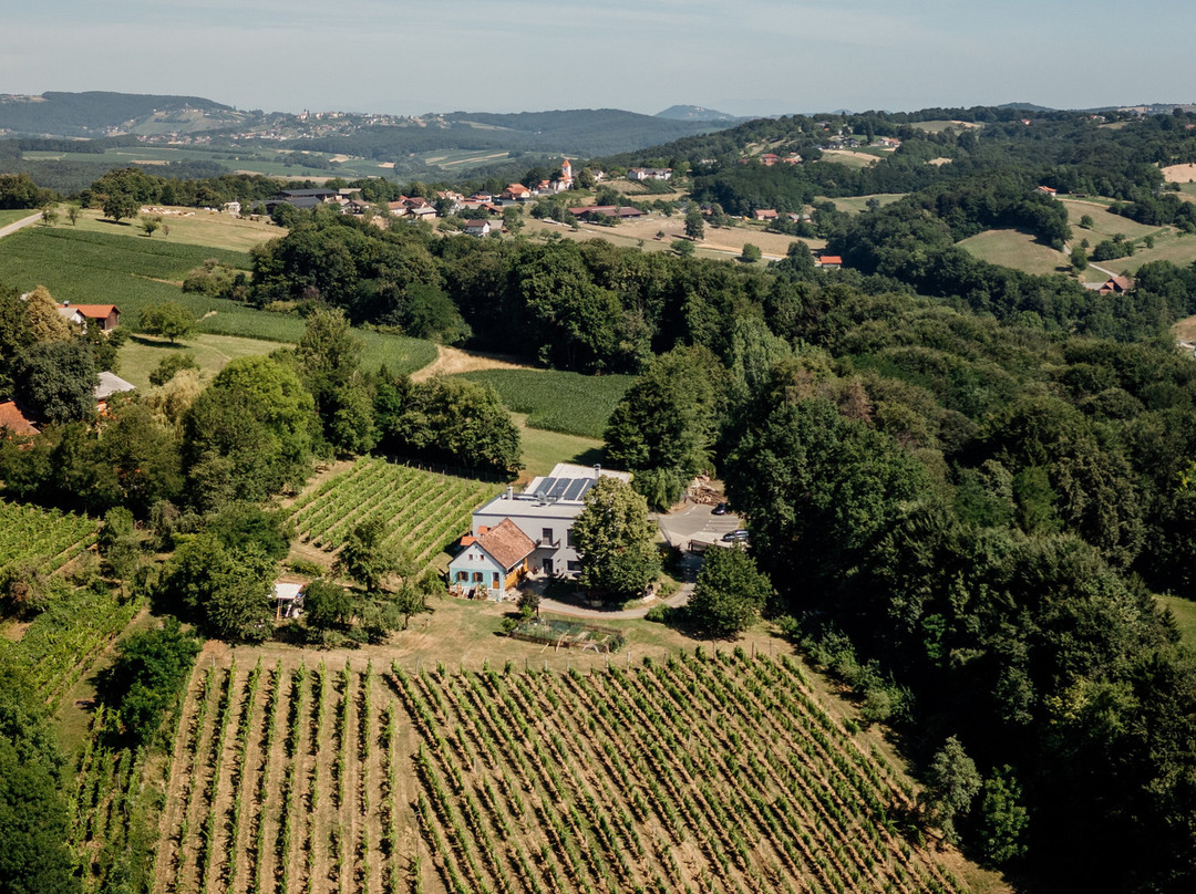 Posestvo Gjerkes - Winery, Restaurant, Rooms-Rogasovci必去景点