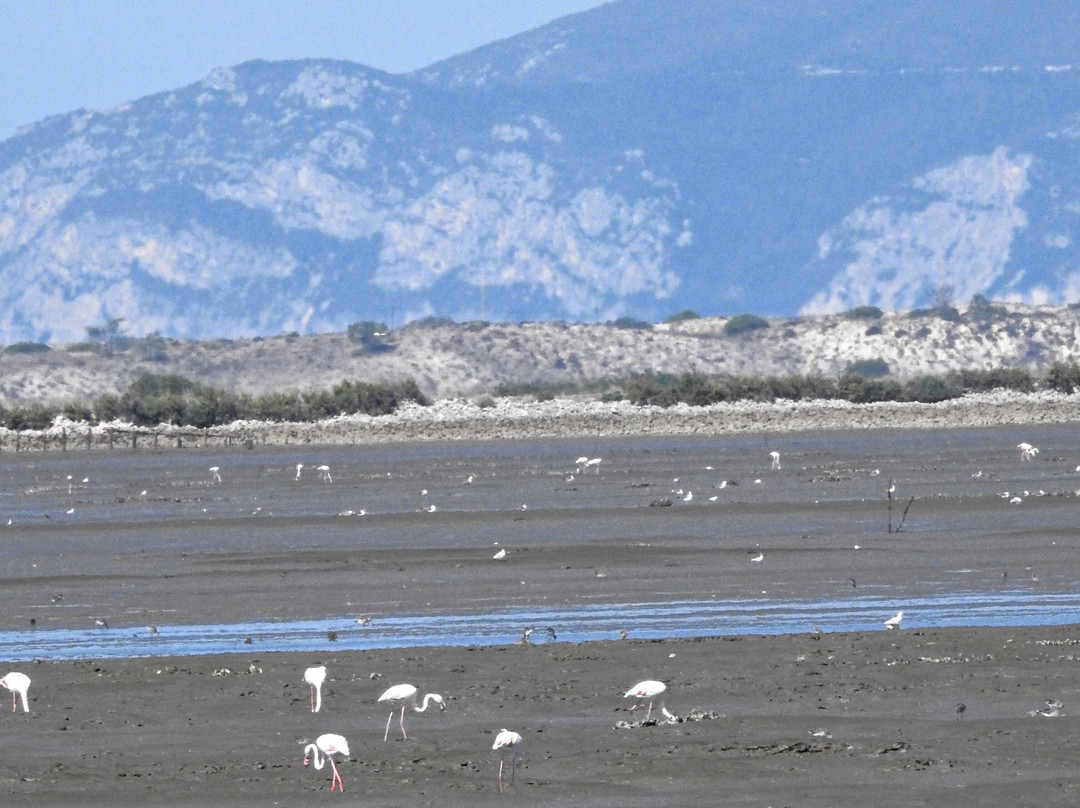 Cais Palafítico do Porto da Carrasqueira-Comporta必去景点