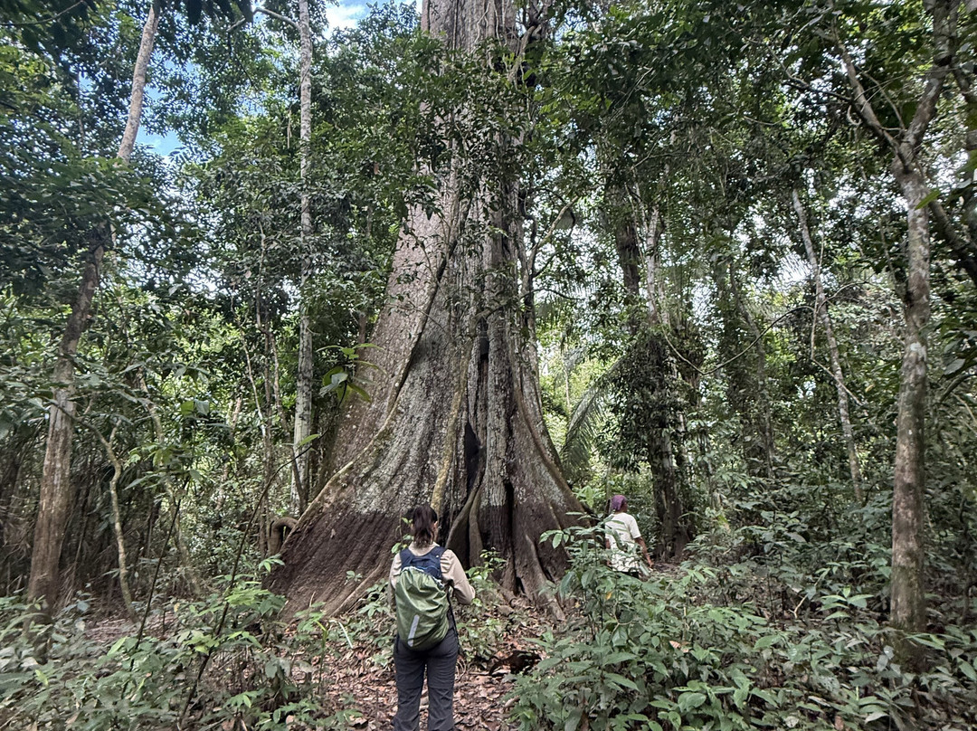 Lupuna Jungle Tours主图