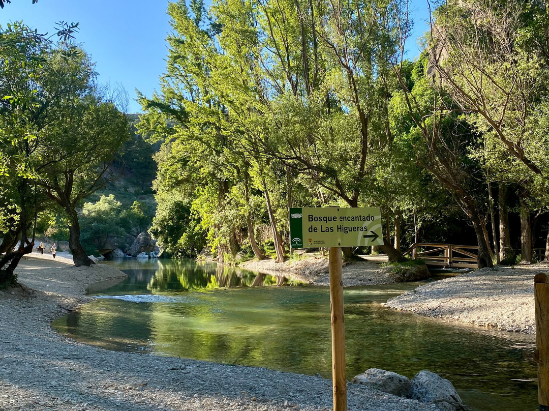 Bosque Encantado de Higueras-Pozo Alcon必去景点