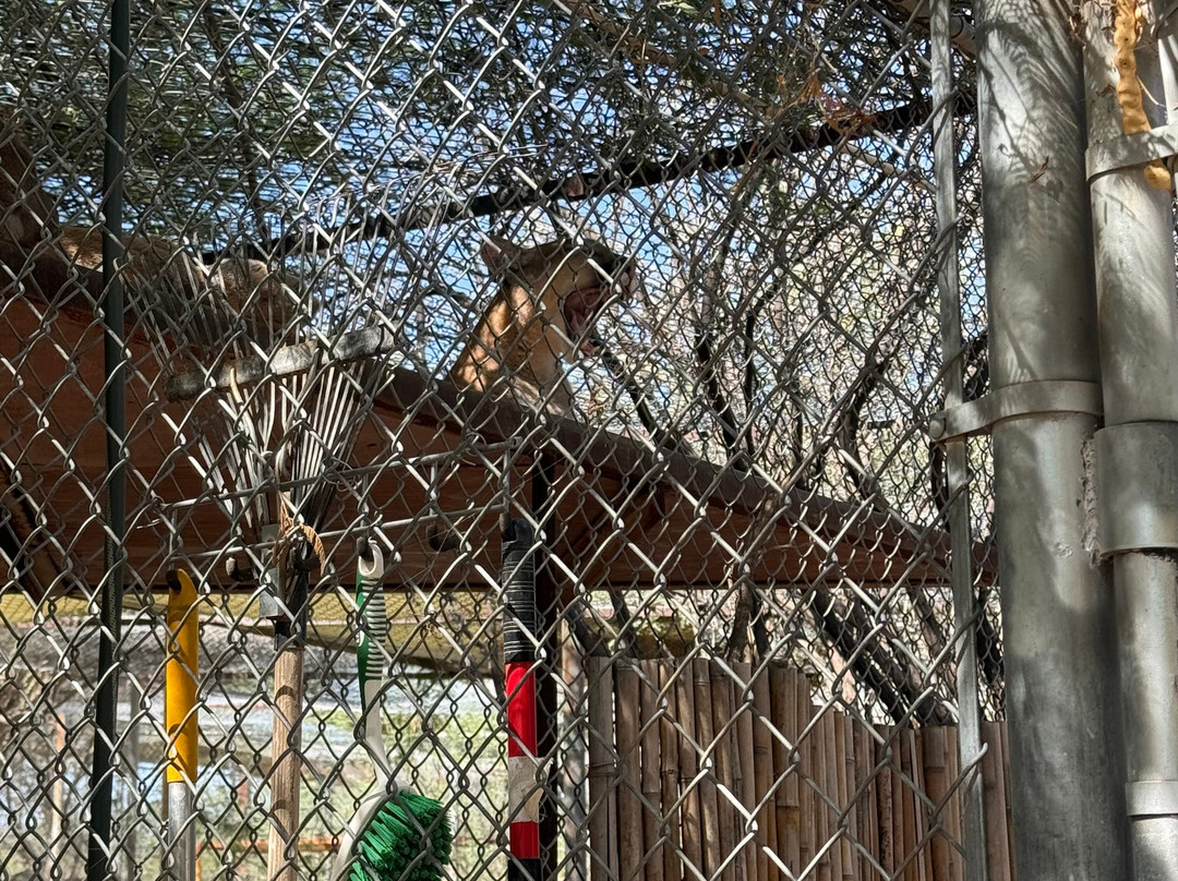 Southwest Wildlife Conservation Center-斯科茨代尔必去景点
