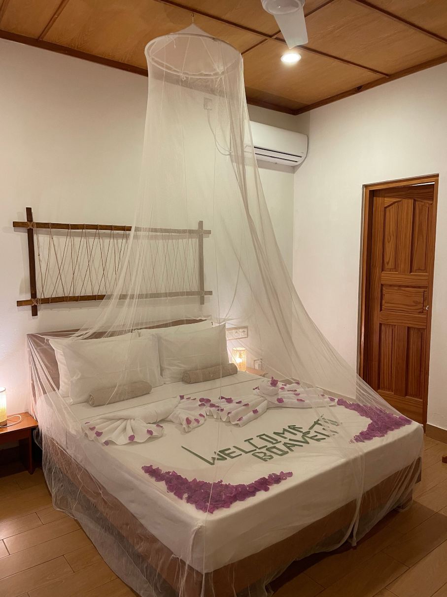 Boaveli Maldives Guesthouse-旅行者