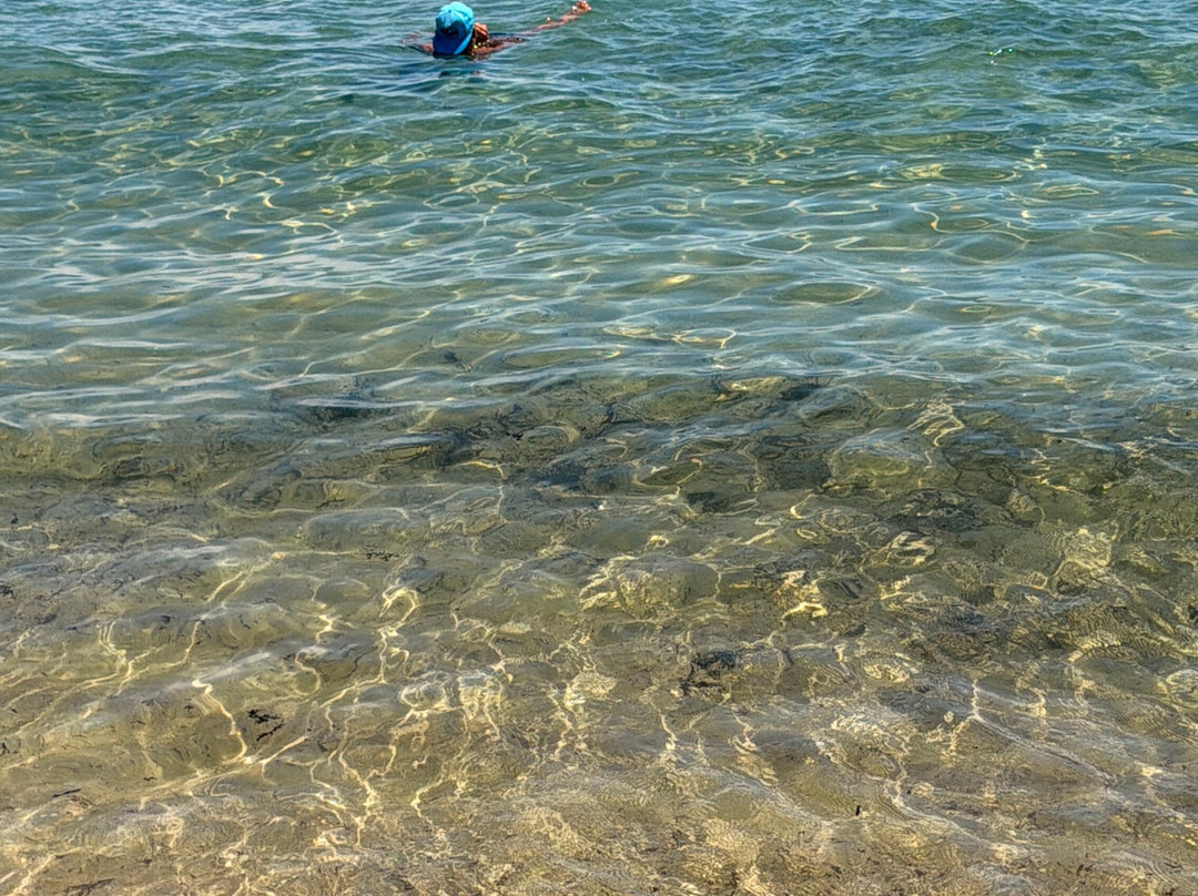 Las Olas Beach-劳德代尔堡必去景点
