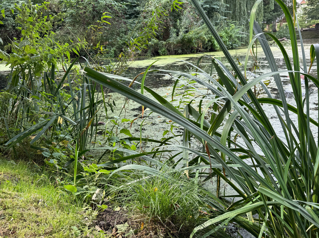 Oliwski Park-格但斯克必去景点