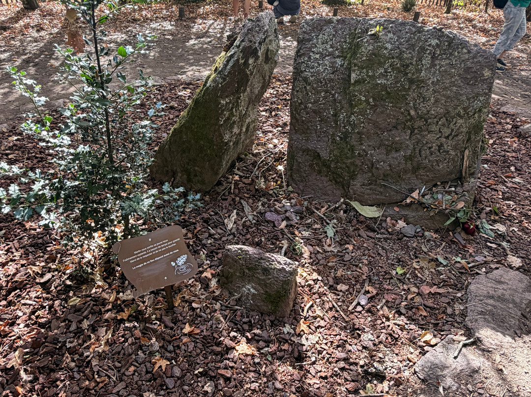 Broceliande, La Porte Des Secrets-Paimpont必去景点