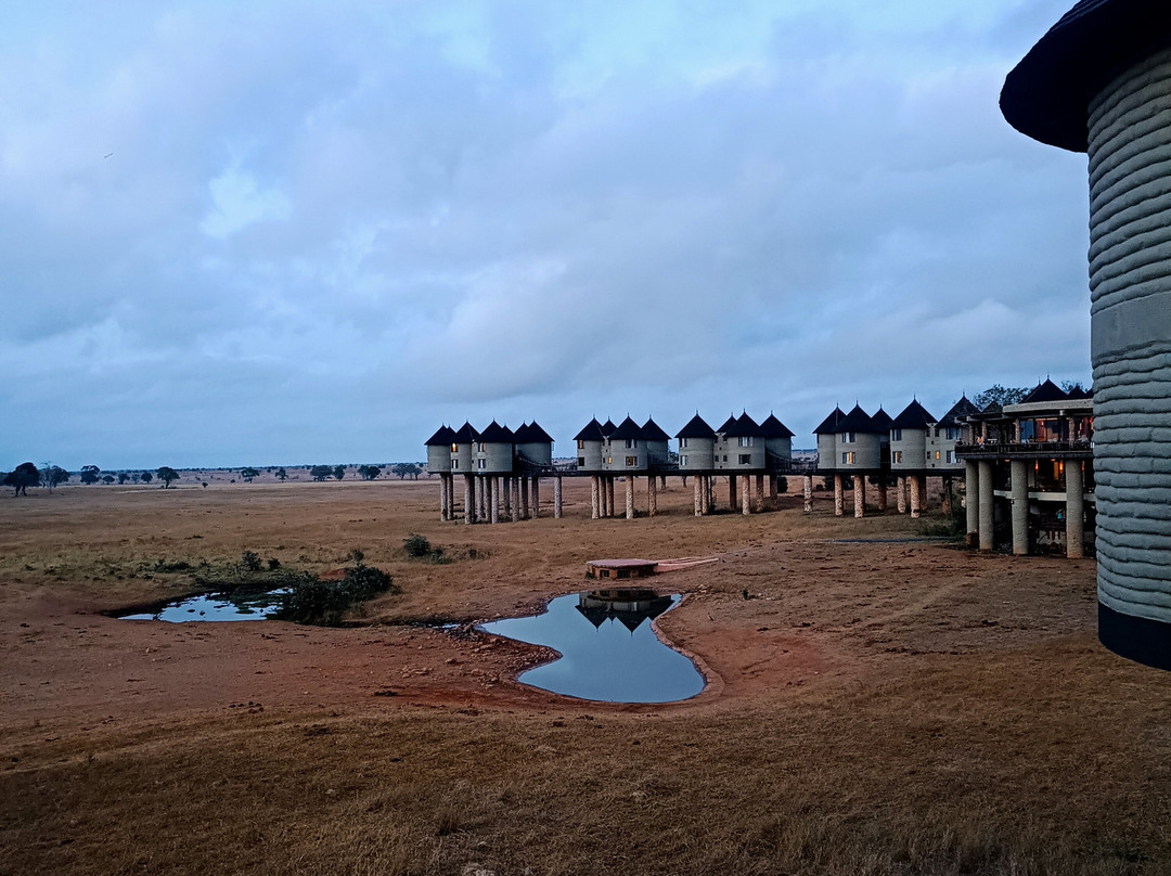 Marco Polo Safaris-迪亚尼必去景点