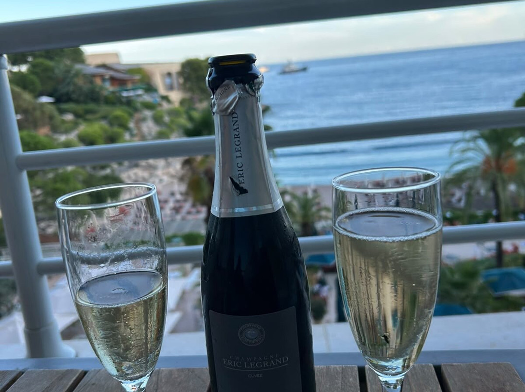 蒙特卡洛海滨广场艾美酒店主图