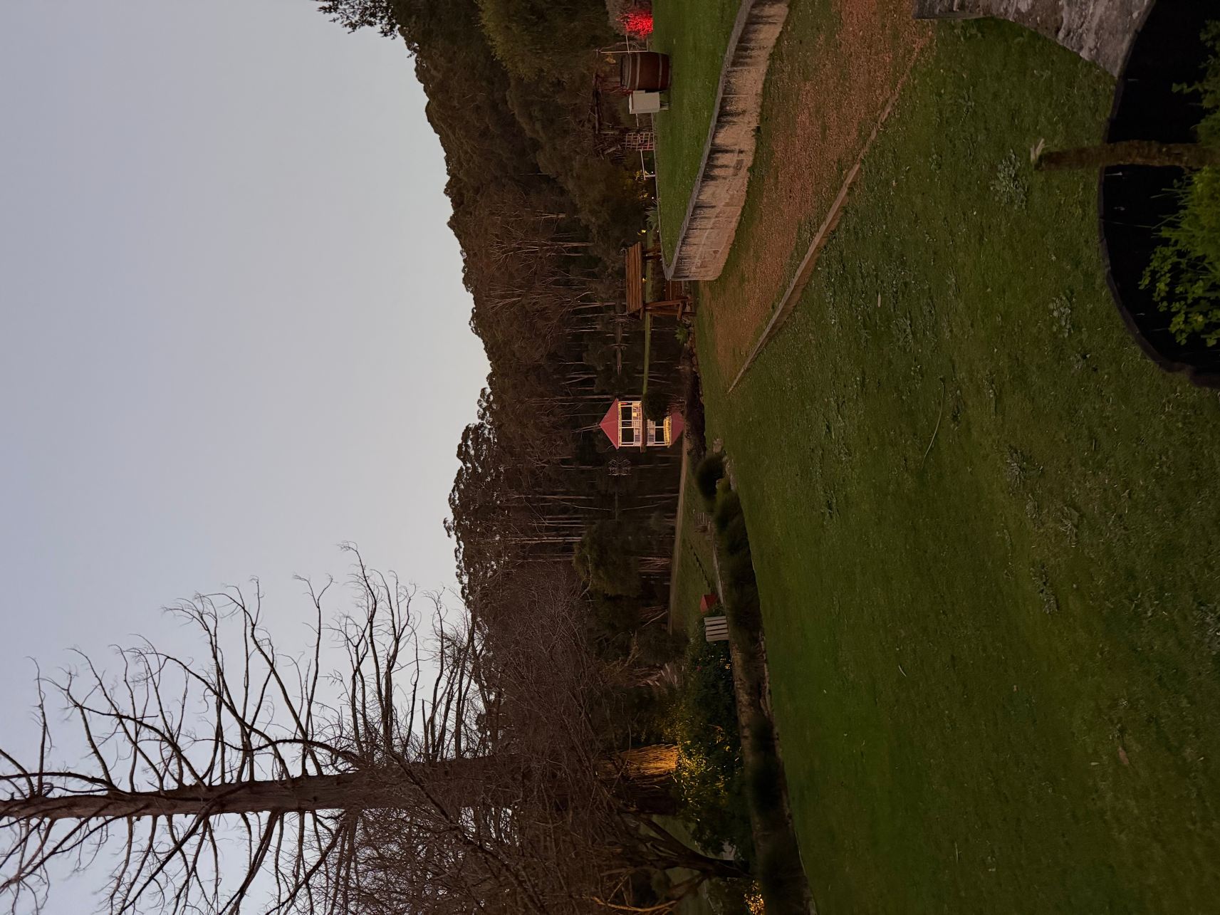森林洛奇度假村-旅行者