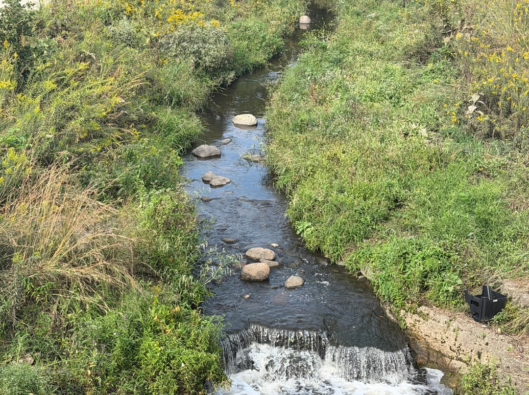 Boneyard Creek Trail-尚贝恩必去景点