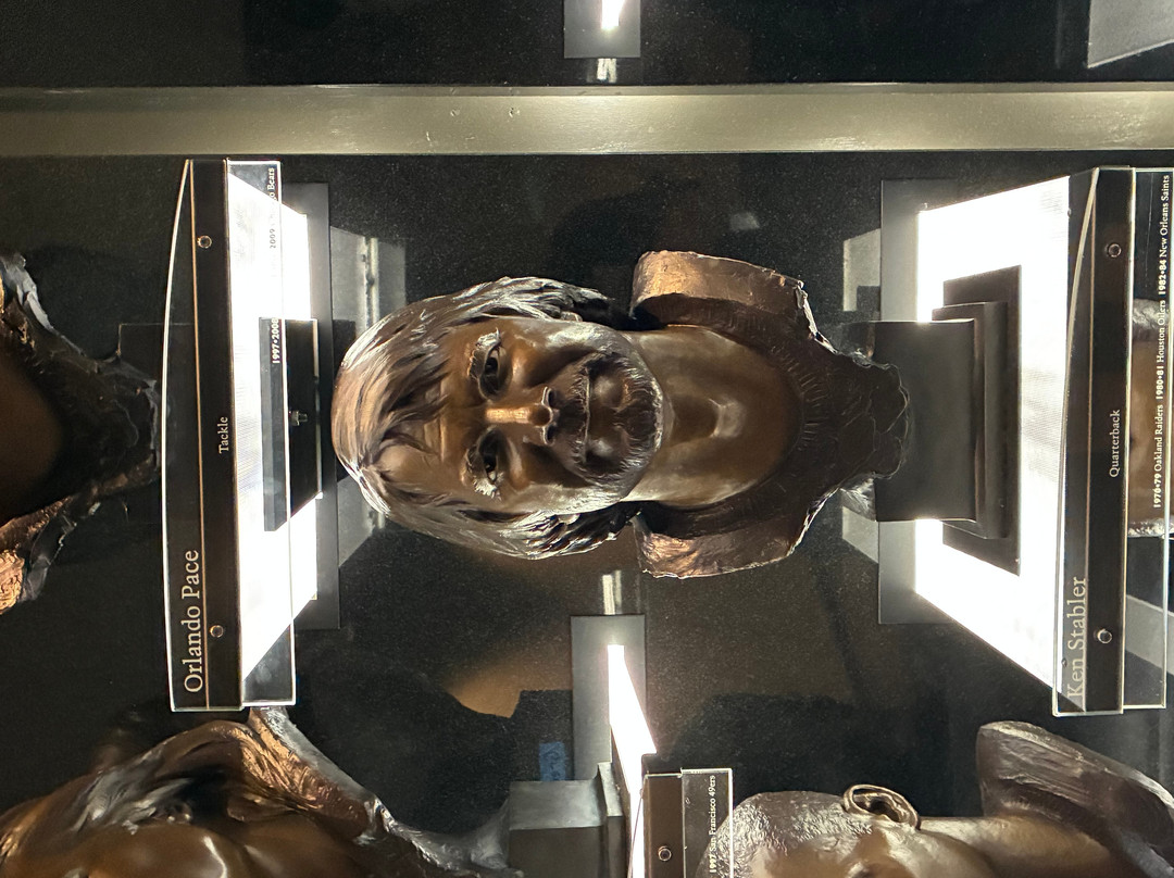 Pro Football Hall of Fame-坎顿必去景点