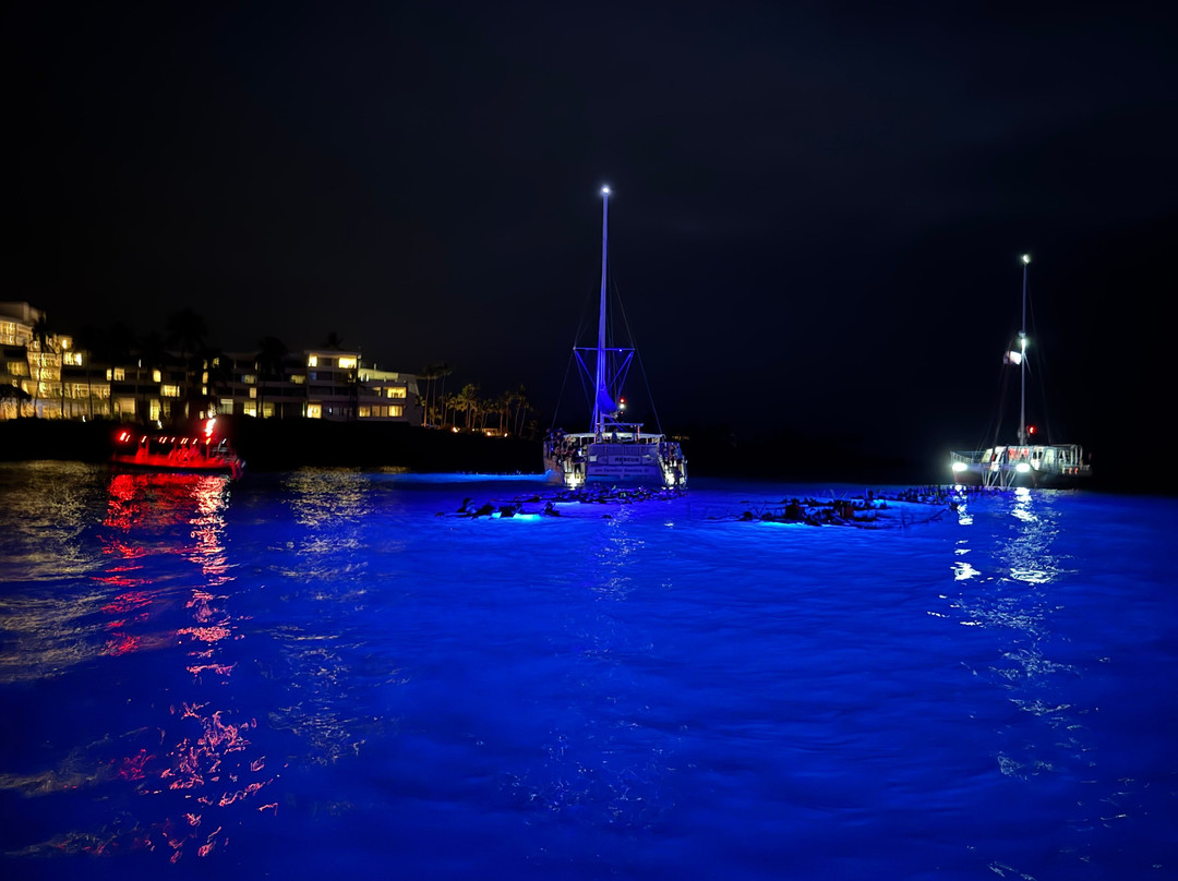 Kona Ocean Experience-凯鲁瓦-柯纳必去景点