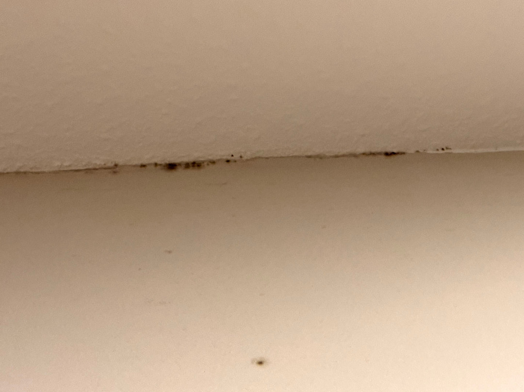 大狼小屋主图