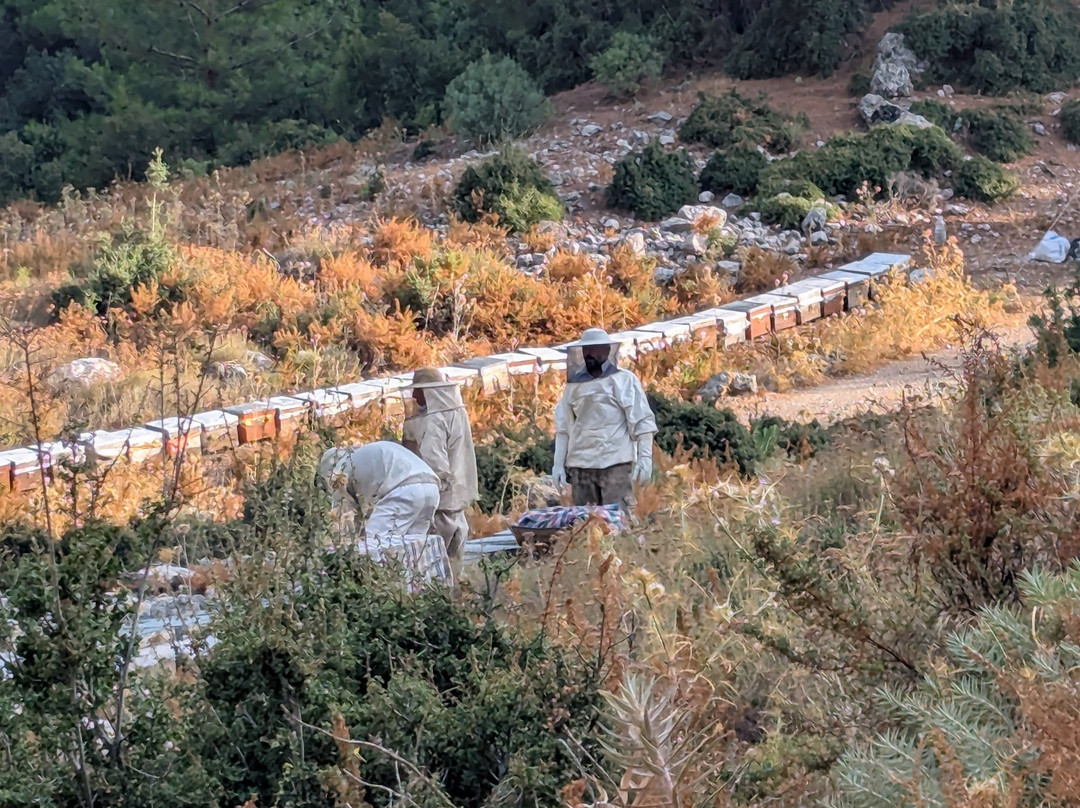 Lycian Way Trail-厄吕代尼兹必去景点