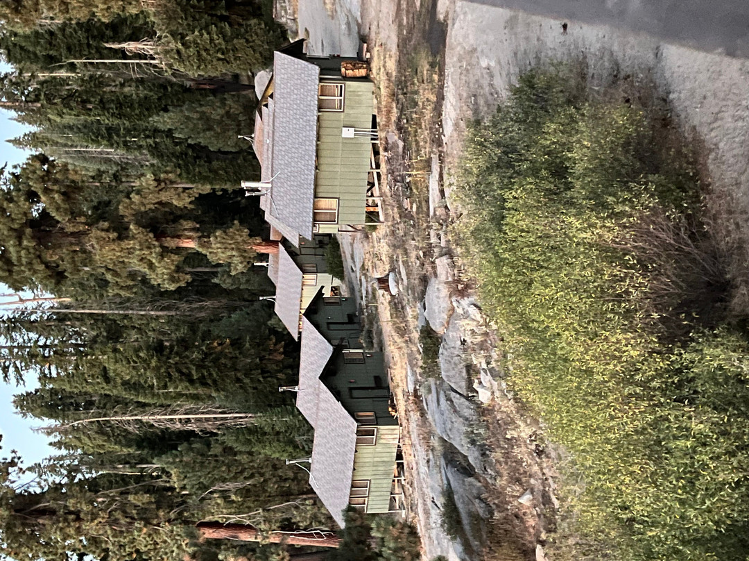 蒙特西托红杉小屋主图