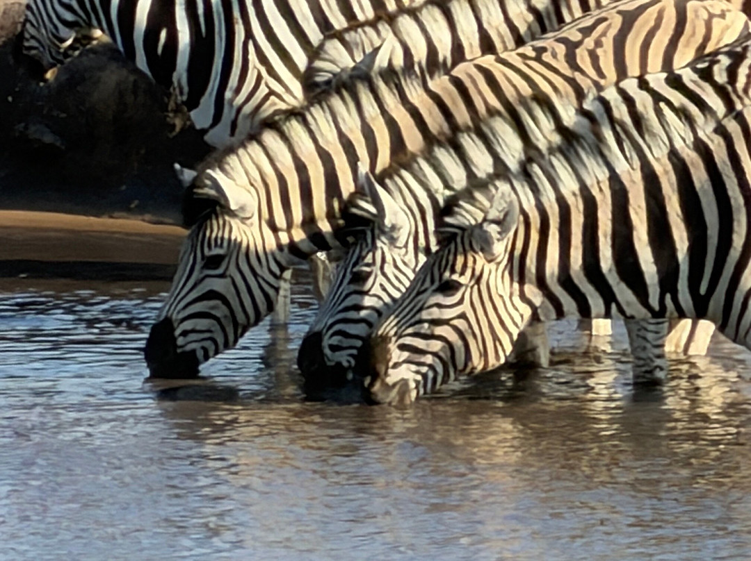 Namibia Tours & Safaris-斯瓦科普蒙德必去景点