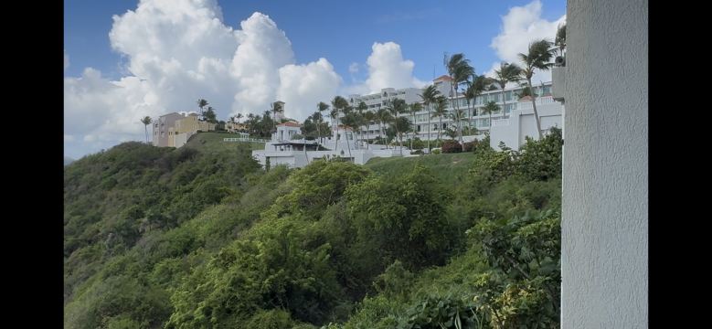 埃尔康基斯塔多尔度假村-波多黎各-旅行者