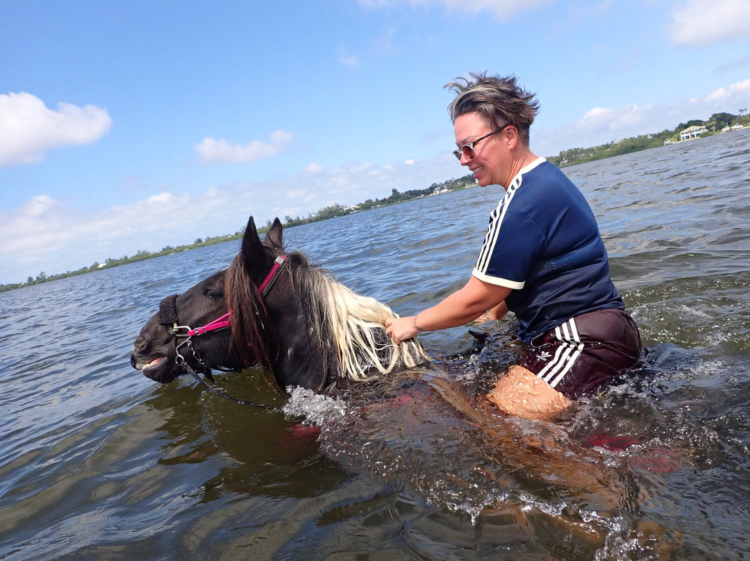 C Ponies Beach Horseback Rides-布雷登顿必去景点