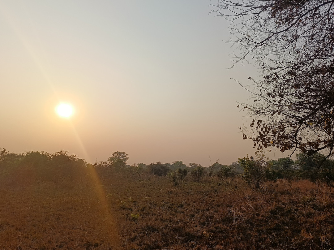 Kuti Wildlife Reserve-沙利马必去景点