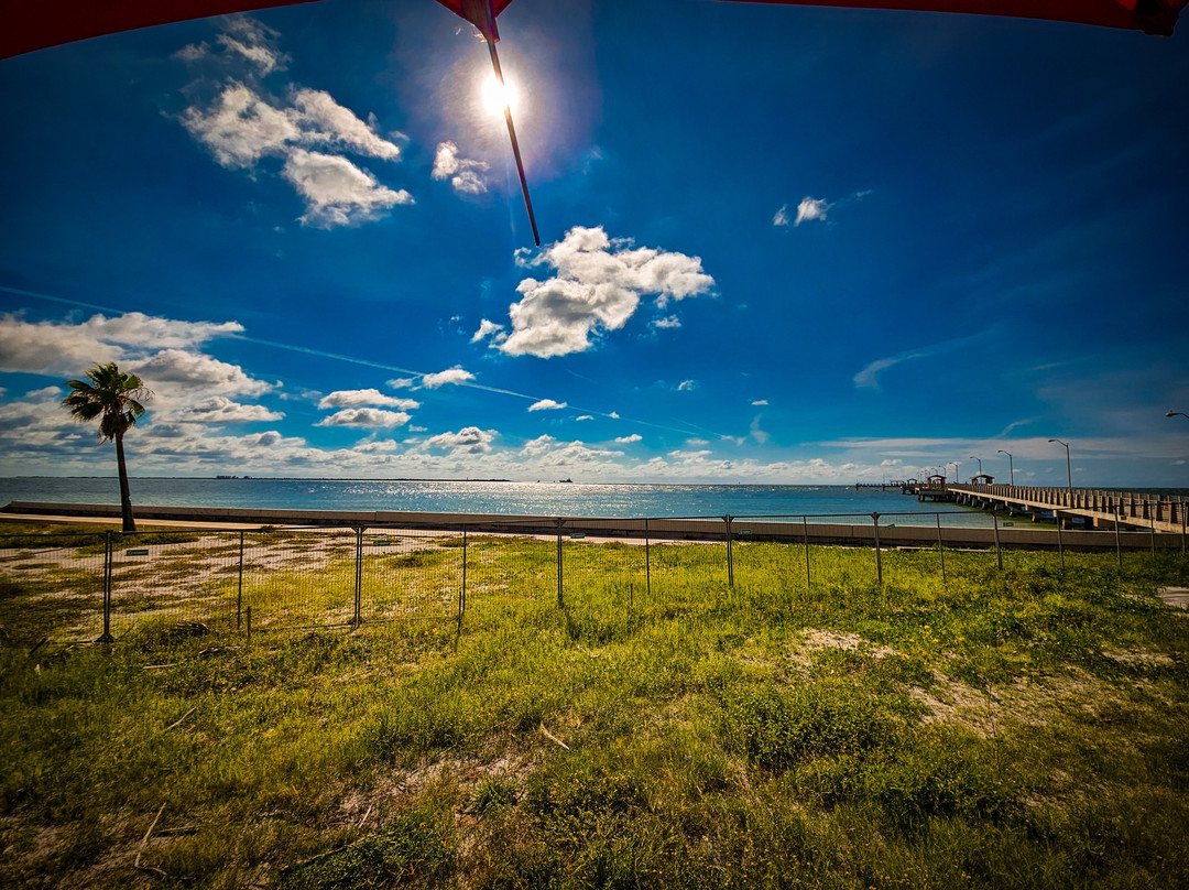 Fort De Soto Park-Tierra Verde必去景点