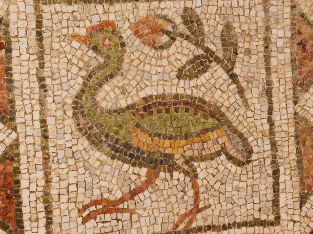 The Bishop's Basilica Of Philippopolis-普罗夫迪夫必去景点