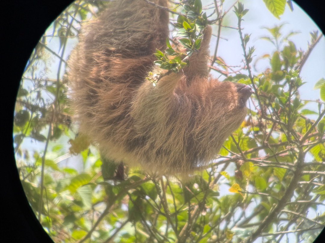 Peru Amazon Expeditions-Manu必去景点