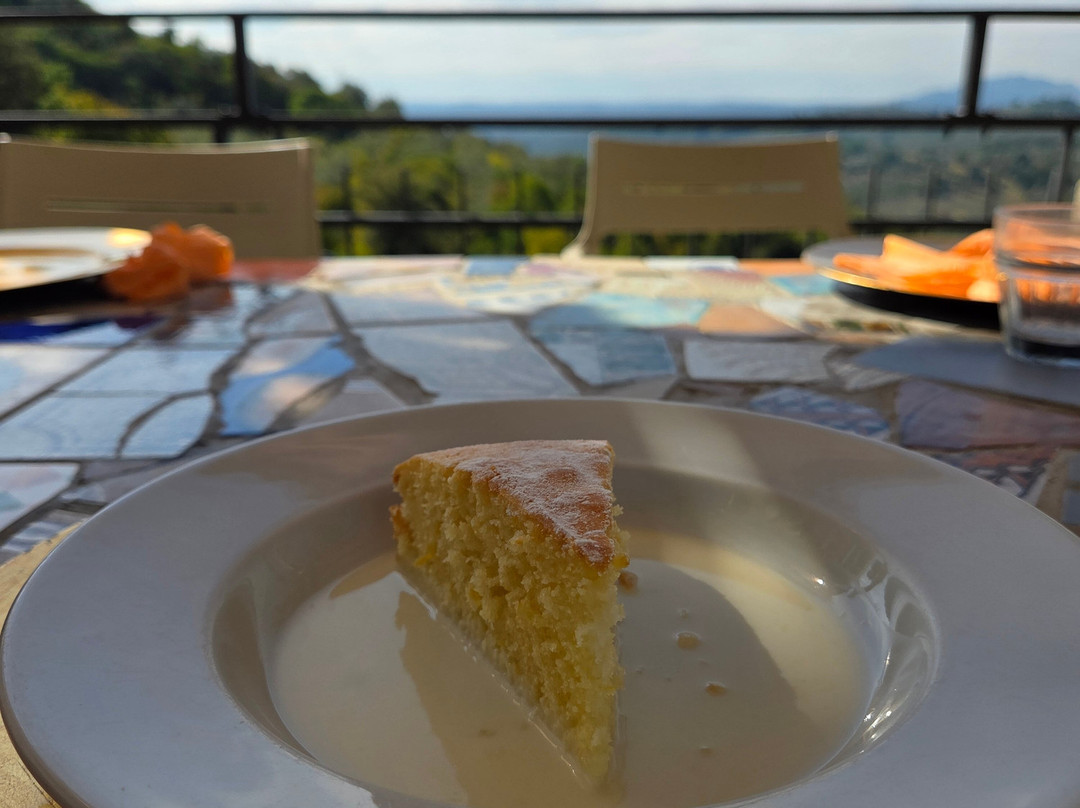 Italian Cooking Class and Olive Tour Experience-罗马必去景点