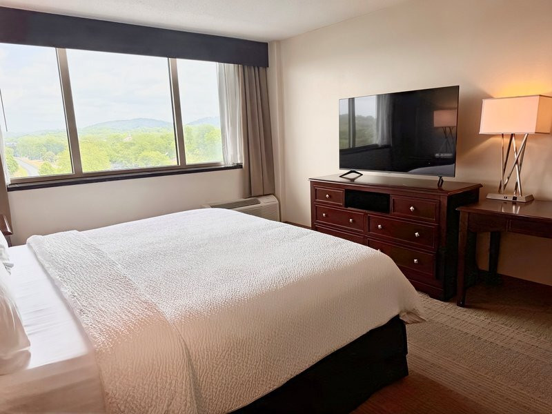 Holiday Inn 伯明翰机场主图
