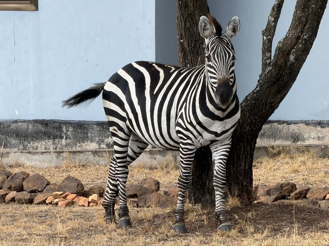 Sereland Africa Safaris-Sakina必去景点