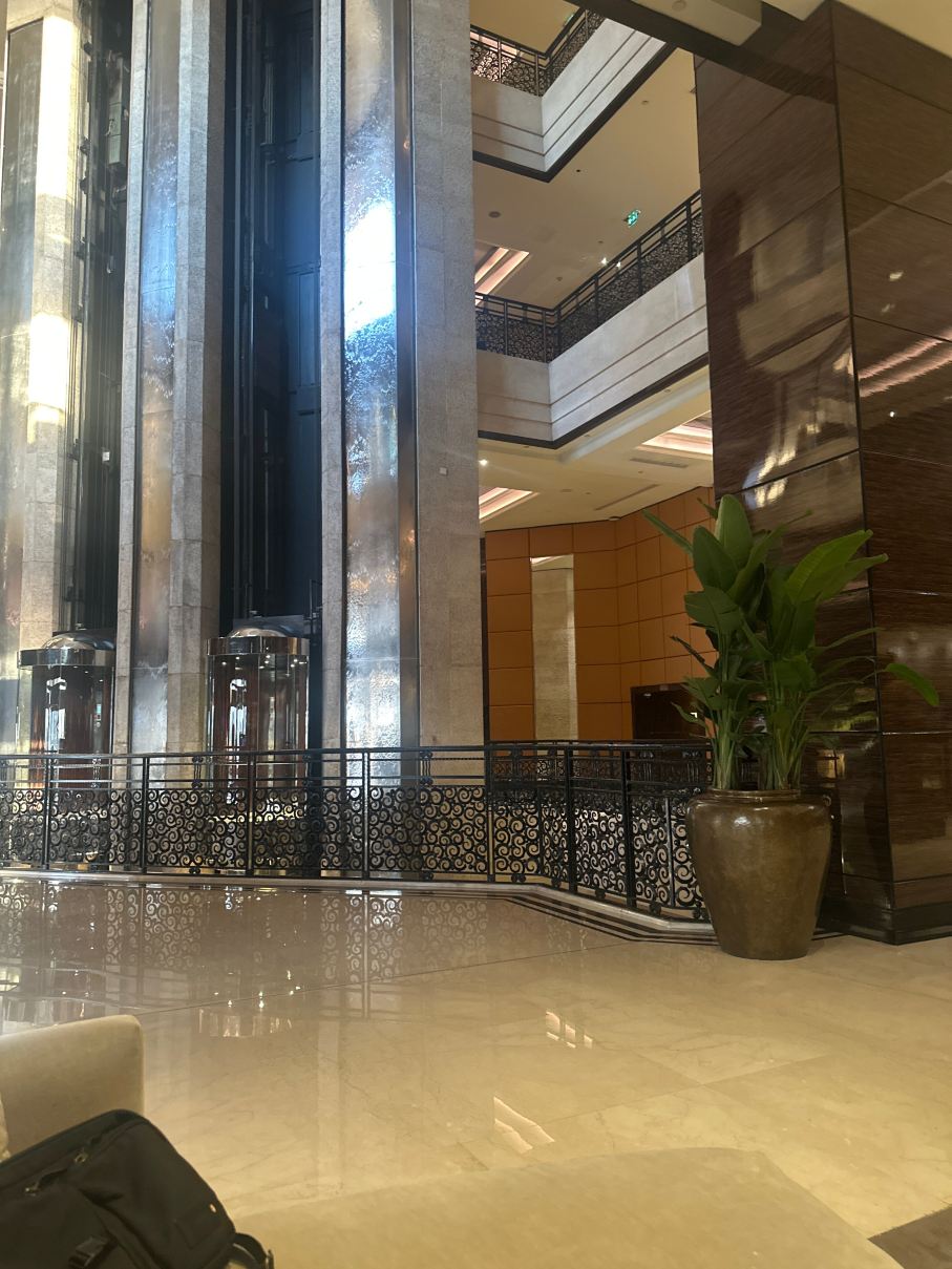 费尔蒙尼罗河城市酒店-旅行者