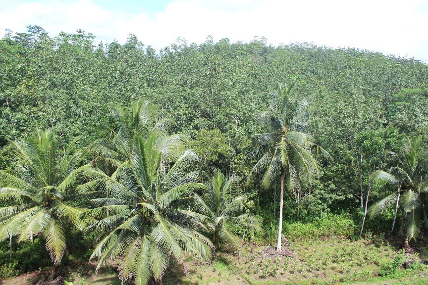 Nawalakanda Holiday Resort-官方