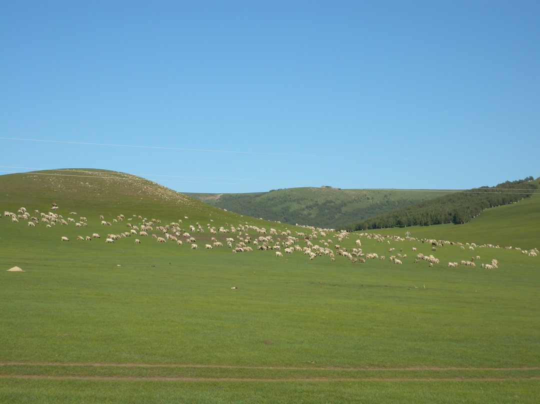 克什克腾旗旅游景点-克什克腾大草原