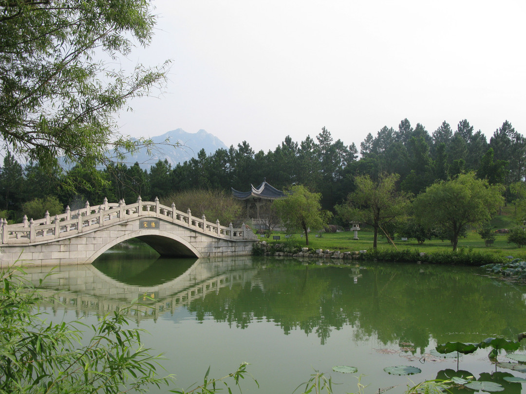 天福茶博物院景点图片