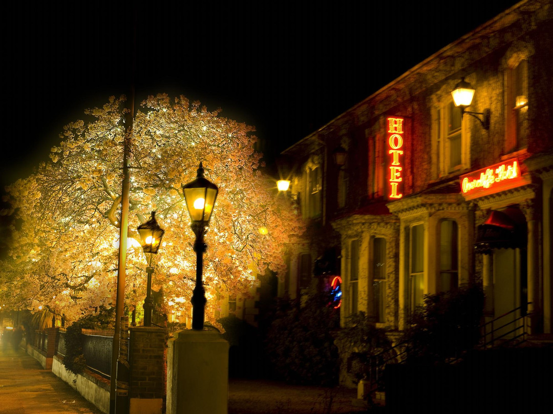 The Overcliffe Hotel
