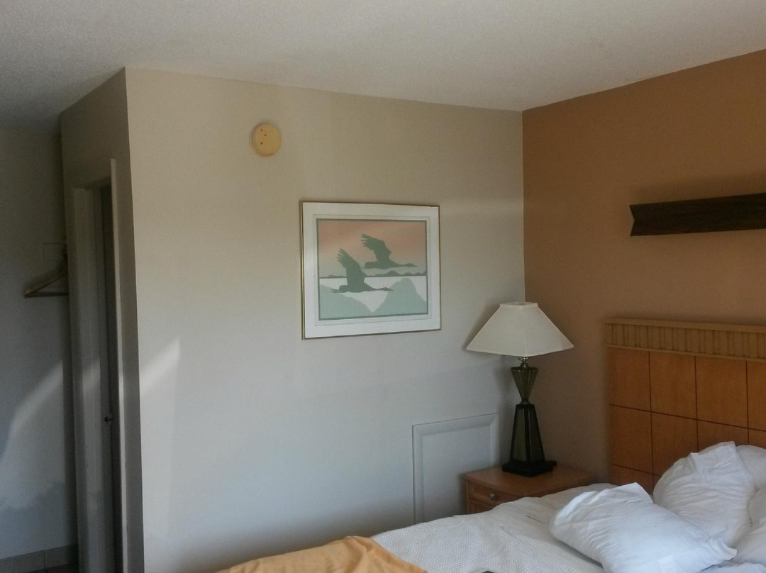 Newark酒店住宿-就寝时间套房酒店