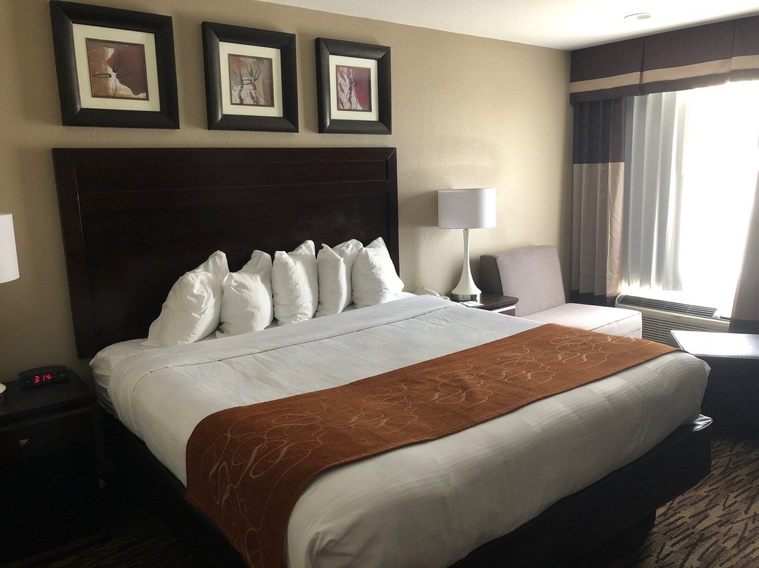 Best Western Lafayette Inn主图