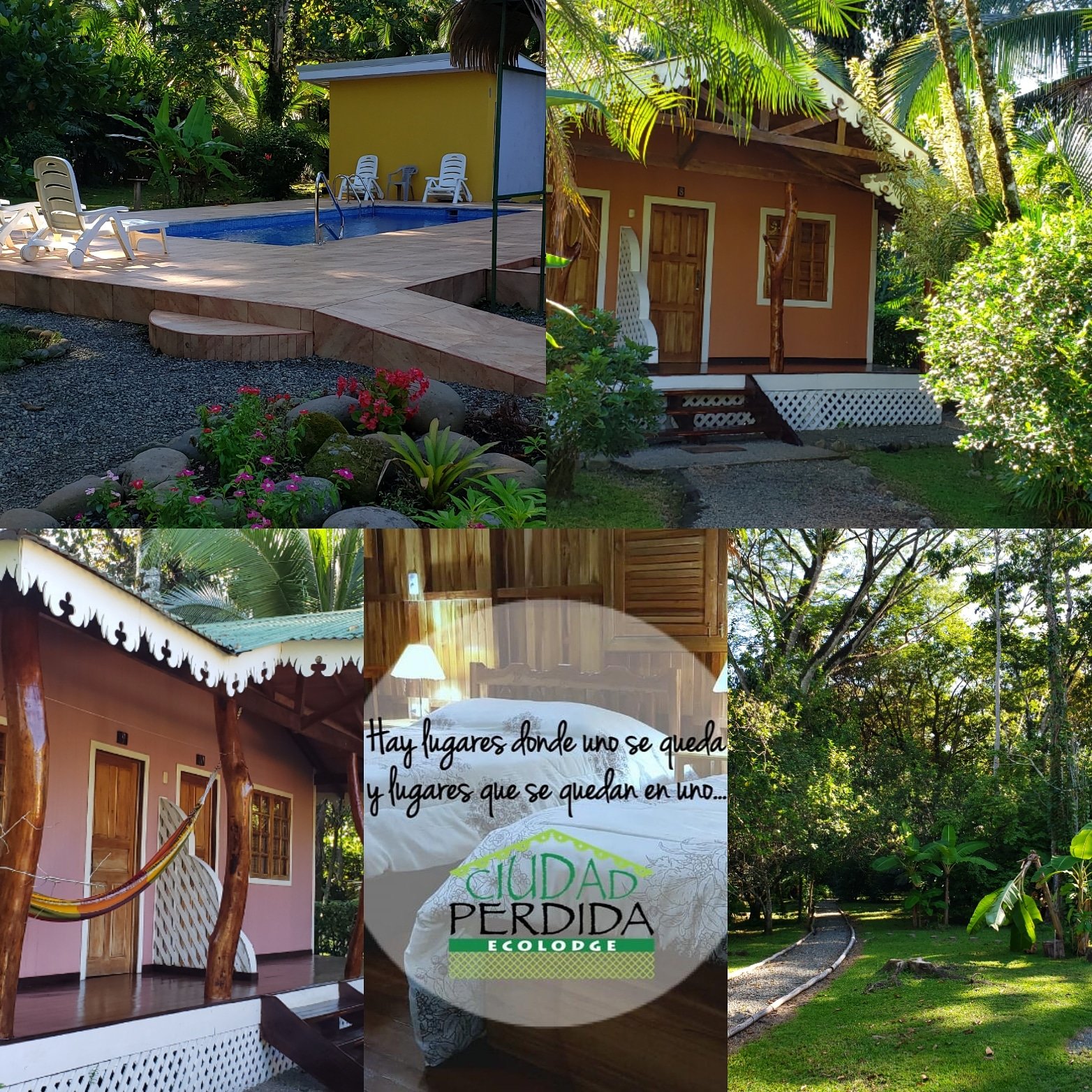 Ciudad Perdida Eco Lodge-官方
