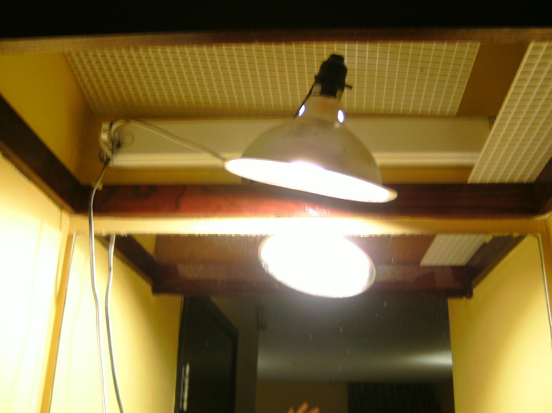 Economy Inn Greenville