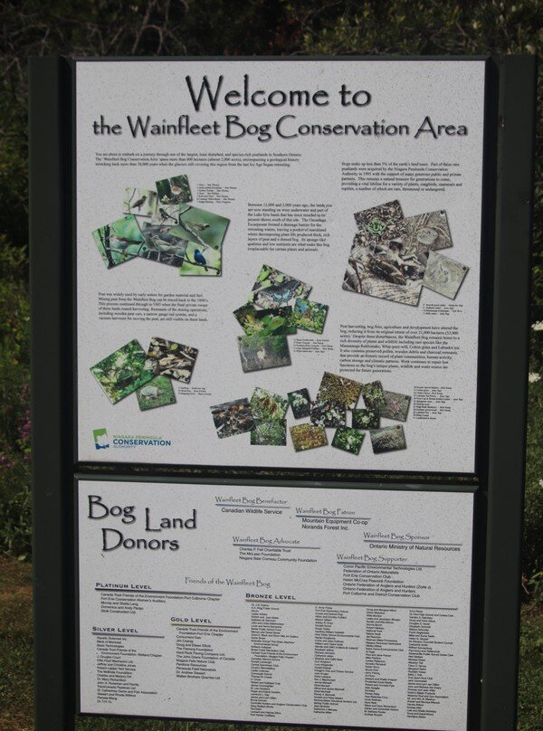 Wainfleet Bog Conservation Area-Wainfleet必去景点