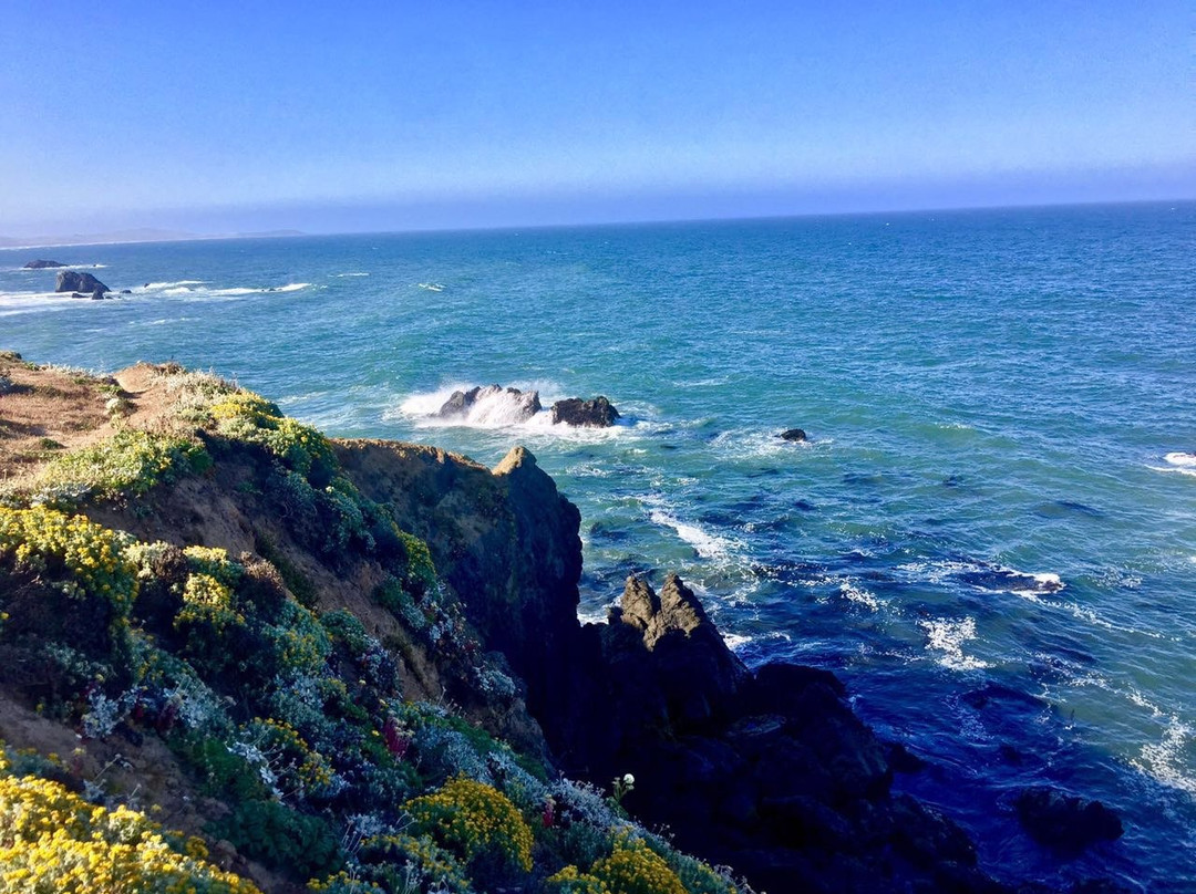 Sonoma Coast State Beach景点图片