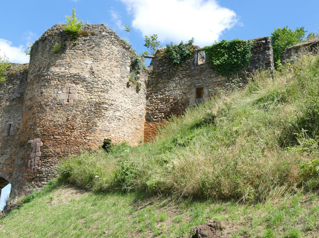 Montipouret旅游攻略图片