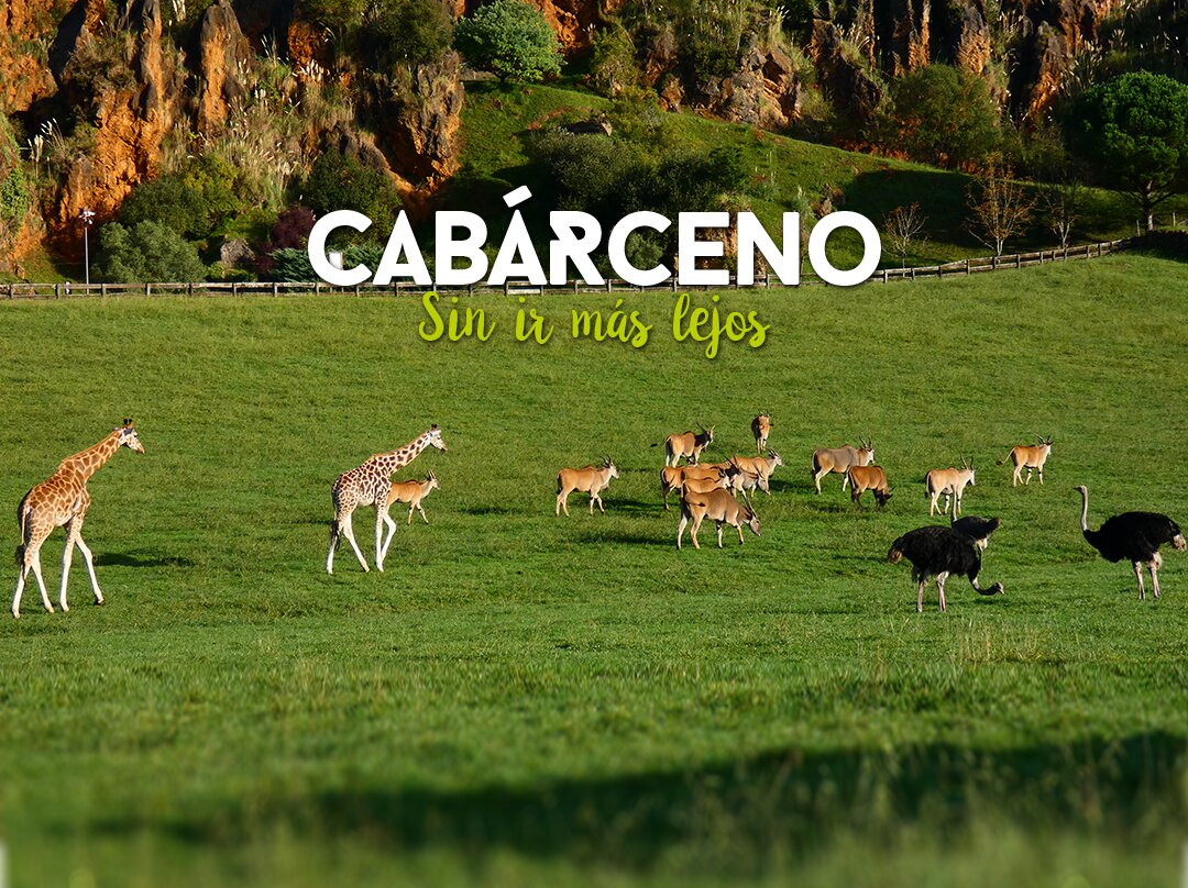 Parque de la Naturaleza de Cabarceno景点图片