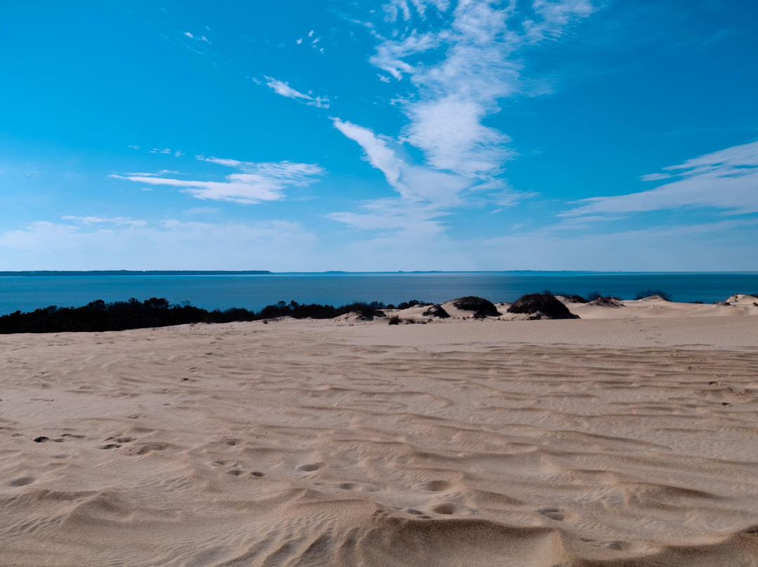 Jockey's Ridge State Park景点图片