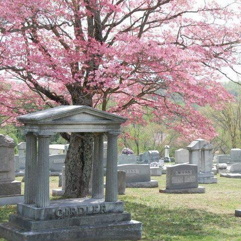 Somerset Cemetery景点图片