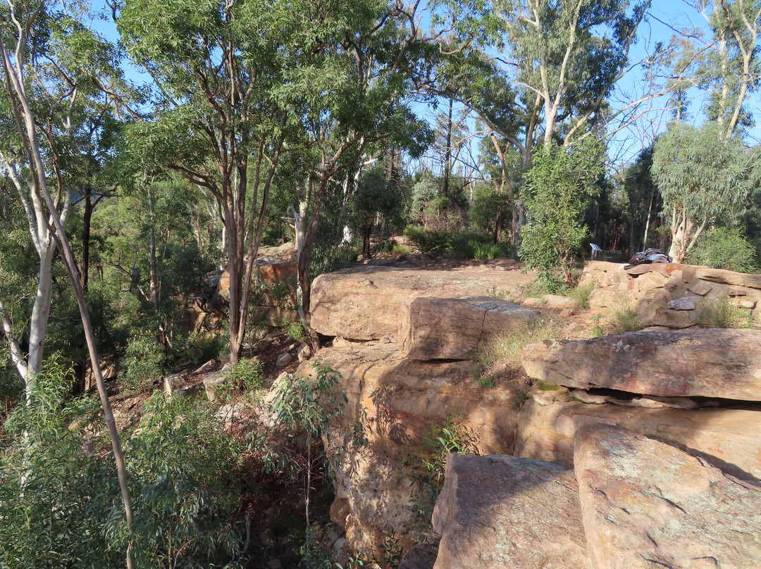 Whitegum Lookout景点图片