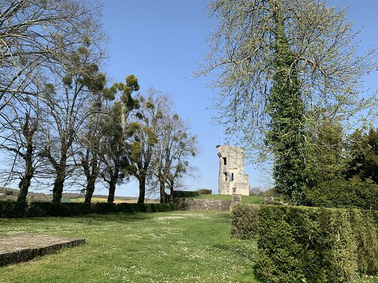 Château de Taillebourg景点图片