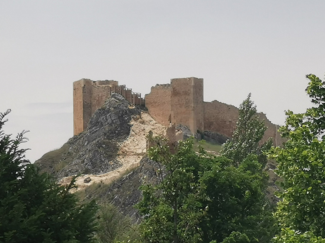 Castillo de Osma景点图片